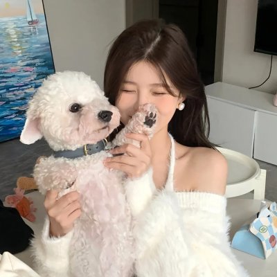 灰狐